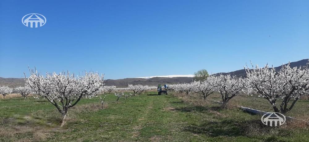 Լուսակն, Արագածոտնի մարզ
